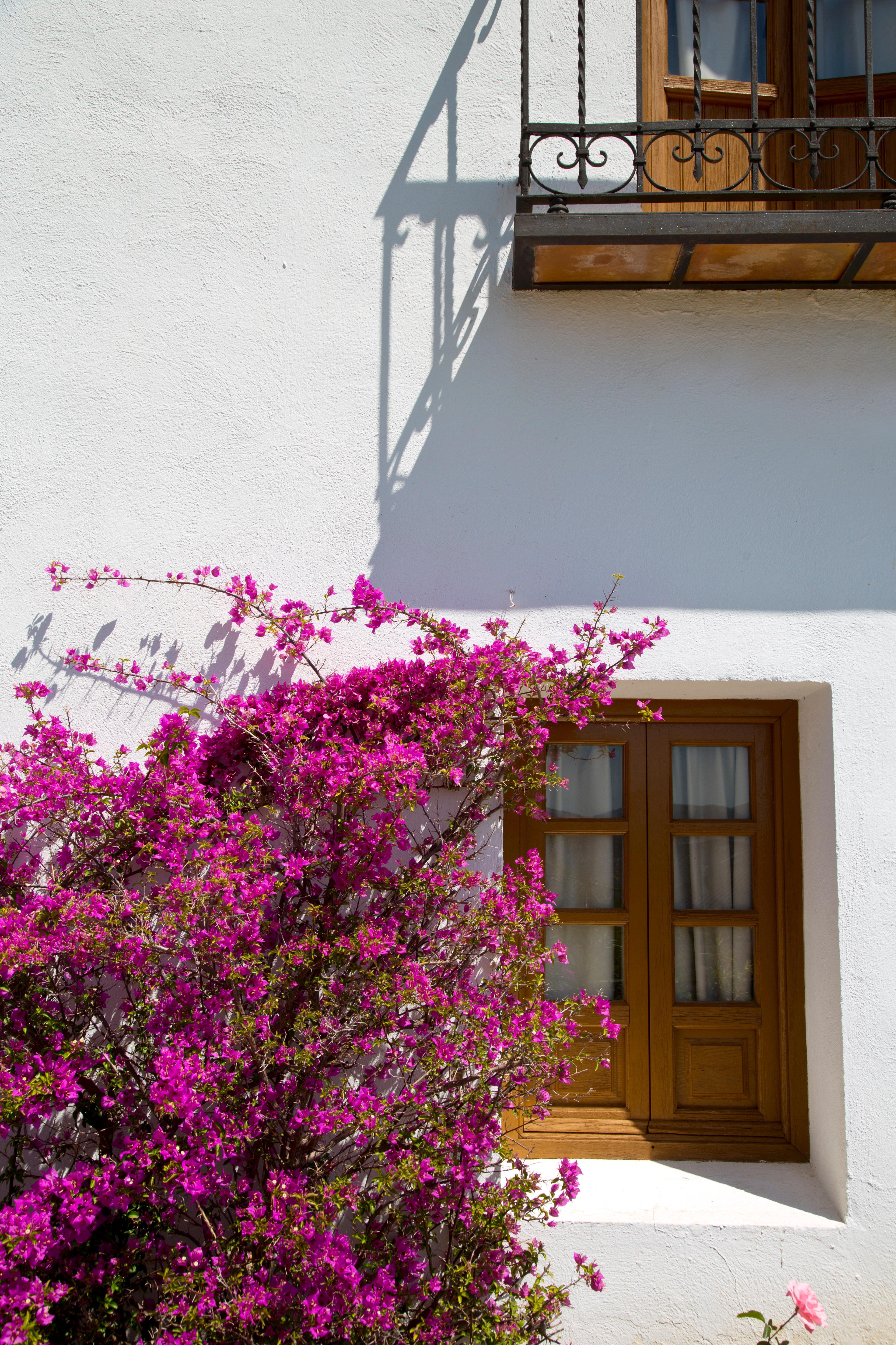 Villa Turistica De Priego Priego de Córdoba Kültér fotó